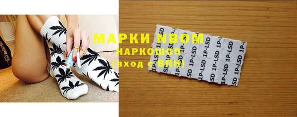 прущие грибы Билибино