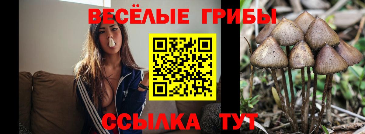 Псилоцибиновые грибы MAGIC MUSHROOMS  Вход с VPN  Шумерля 