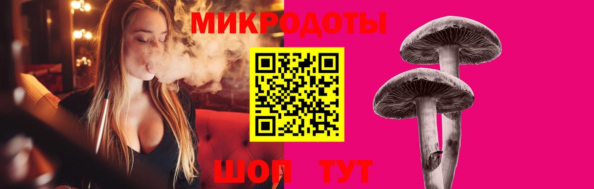 Псилоцибиновые грибы прущие грибы Шумерля